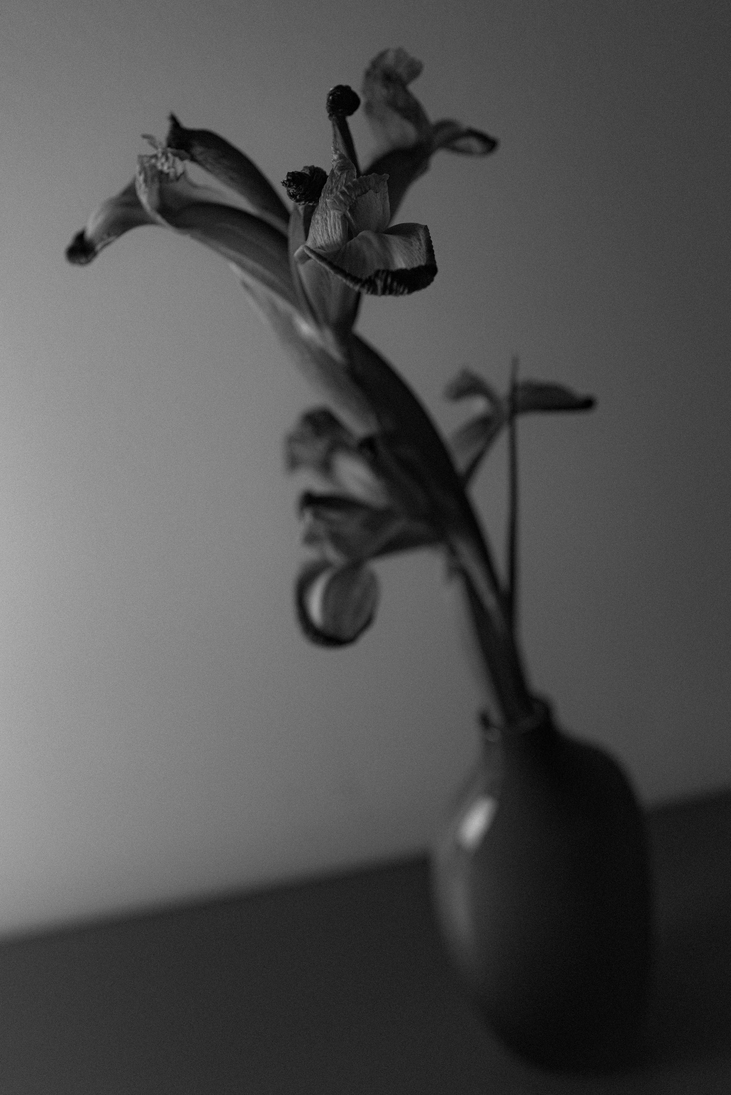 Photograph L1002104.