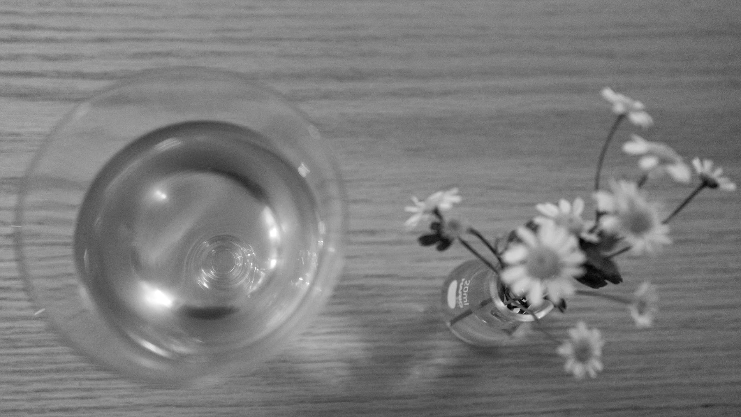 Photograph L1002823.