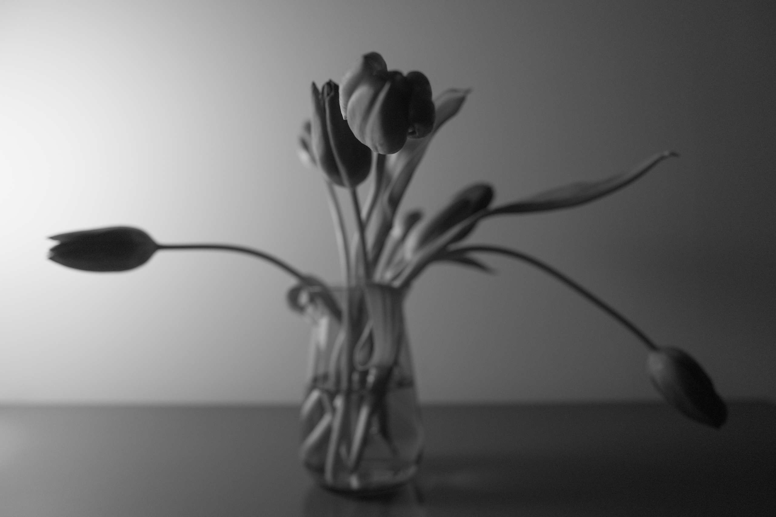 Photograph L1002151.