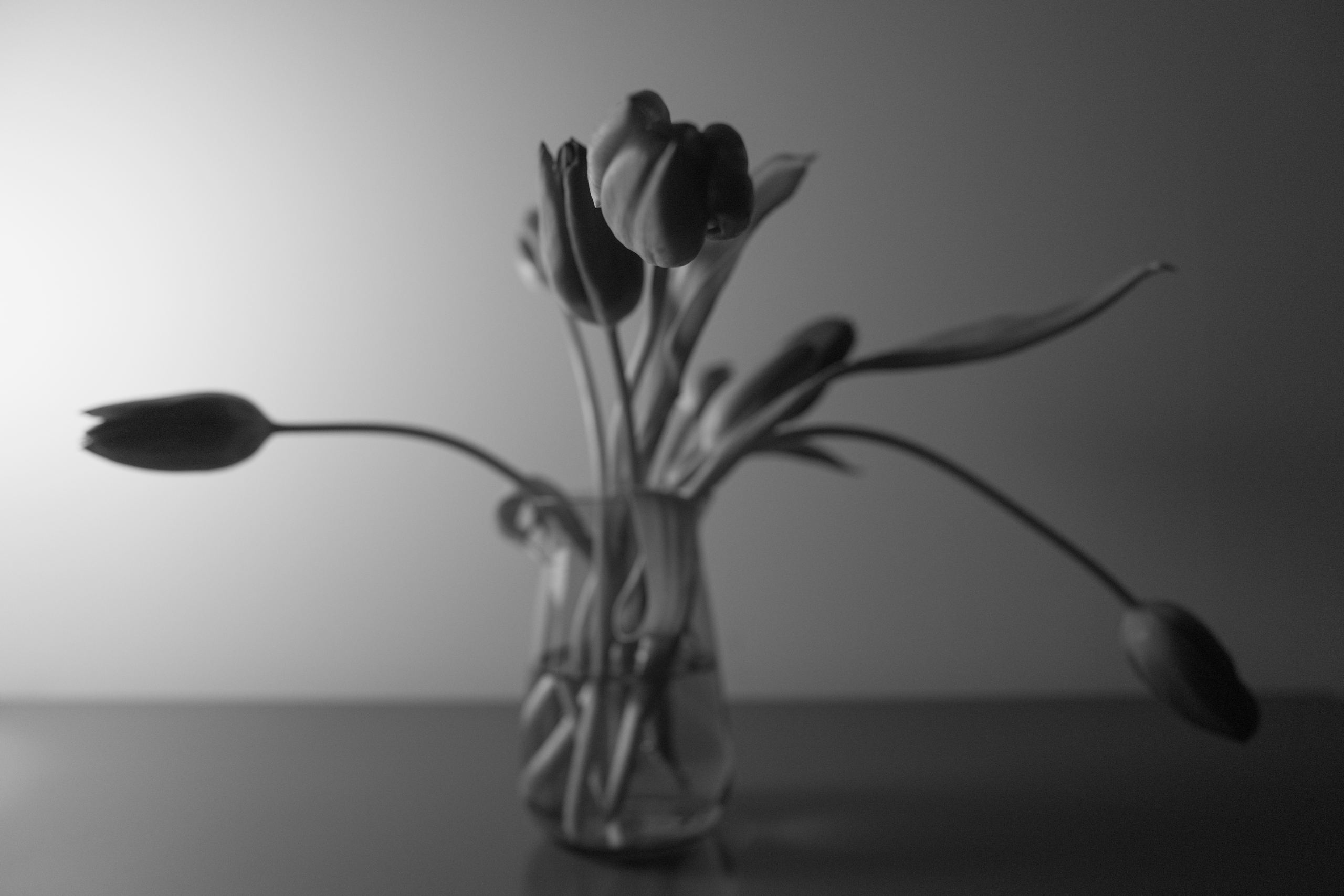 Photograph L1002151.